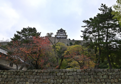 石垣の名城　丸亀城