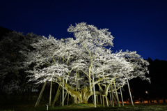 薄墨夜景