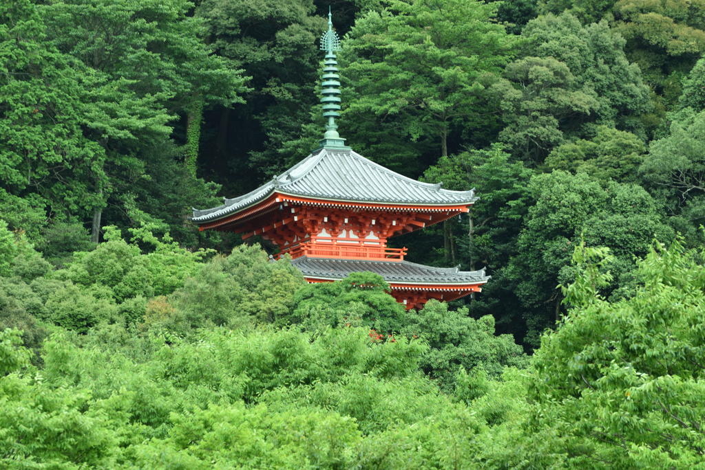 岐阜城と三重の塔