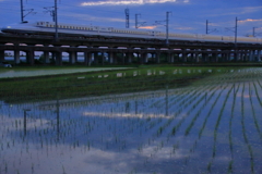 ちょっと遅かった水鏡