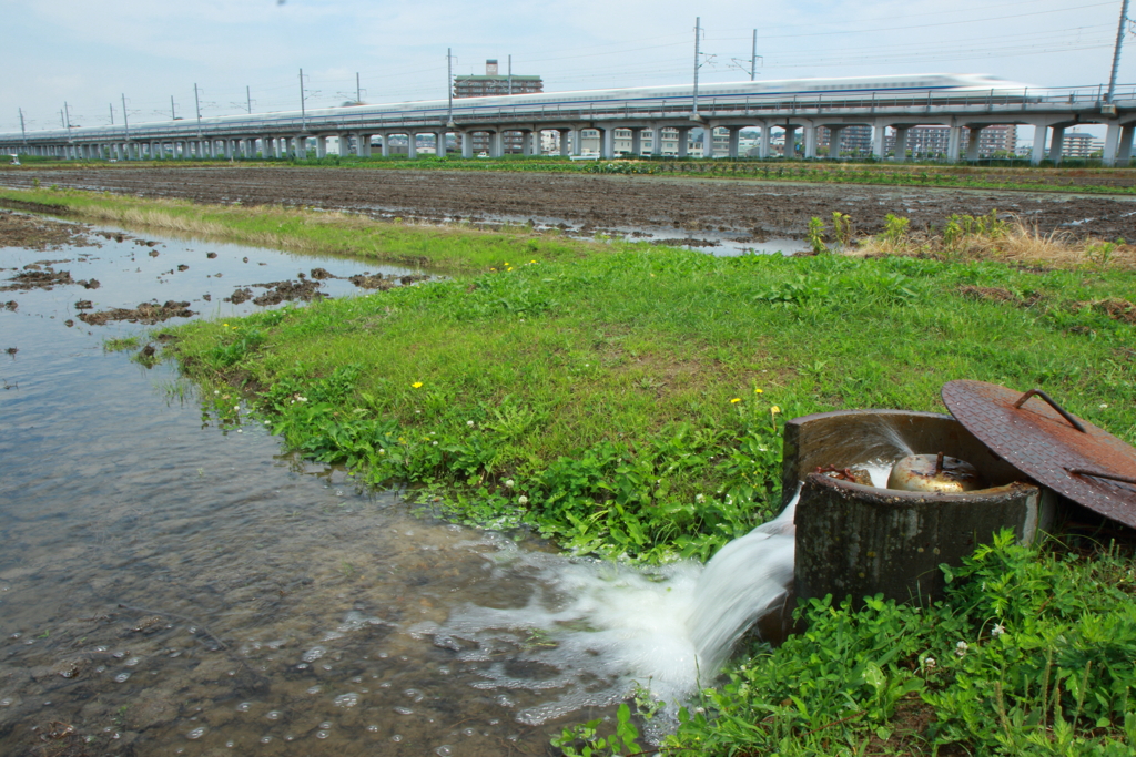 水鏡準備中です。