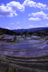 そろそろ田植え