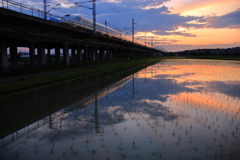 夕焼け水鏡