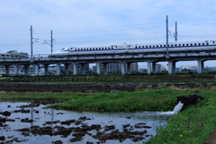 もうすぐ水鏡