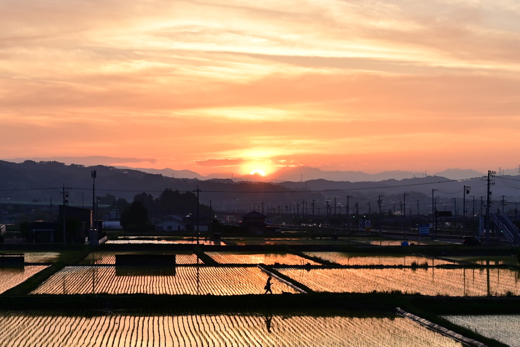 今日もまた夕日が沈む