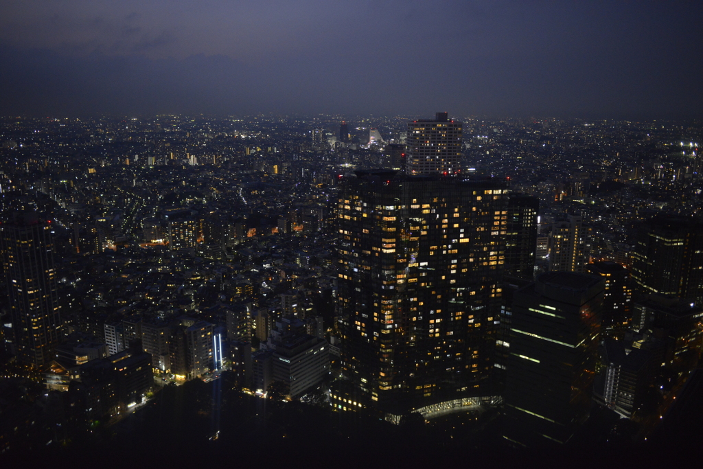 都庁からの夜景