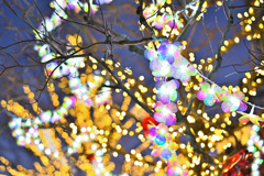 明けましてメリークリスマス