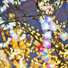 明けましてメリークリスマス