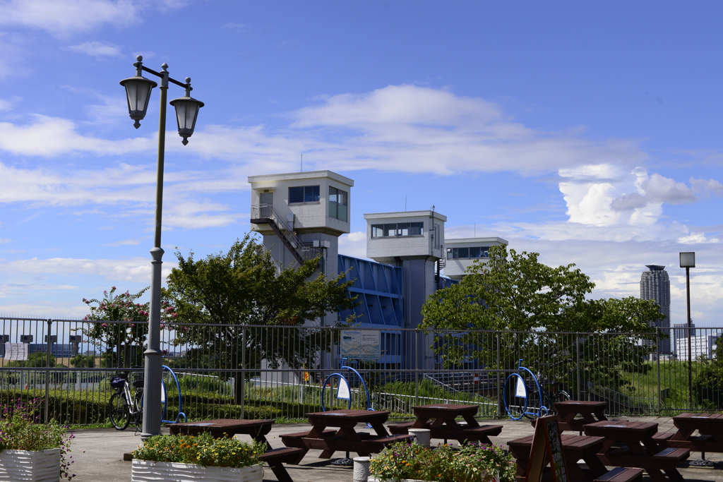 荒川土手の青水門