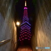 東京タワーのライトアップ