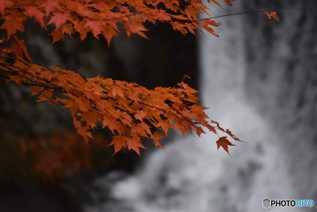 紅葉と滝