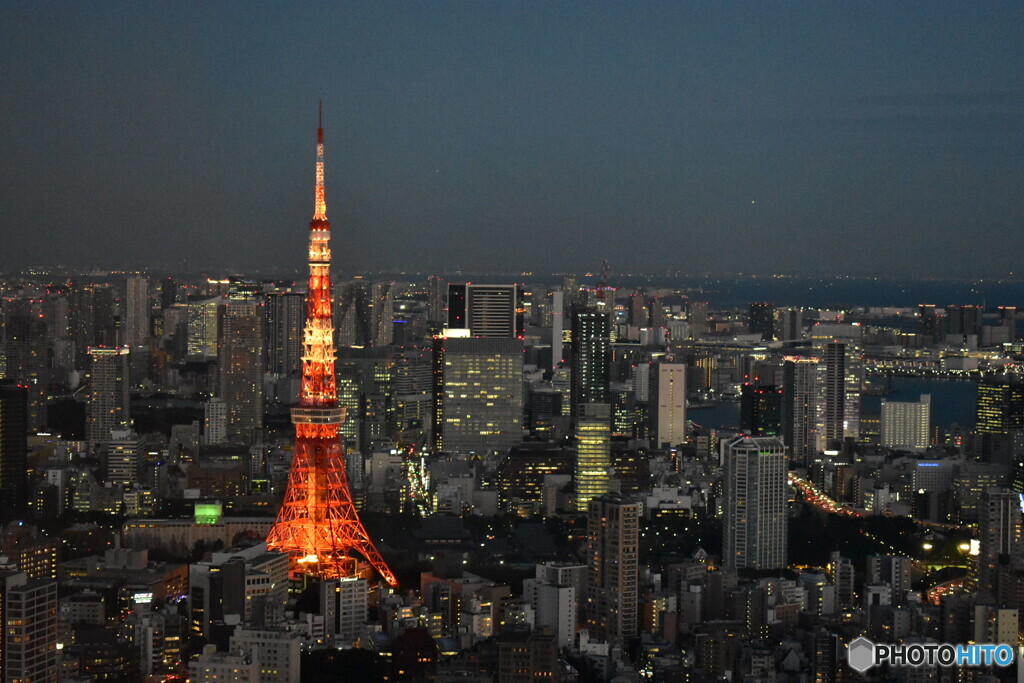 東京タワーの夕景