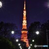 雄大な東京タワー