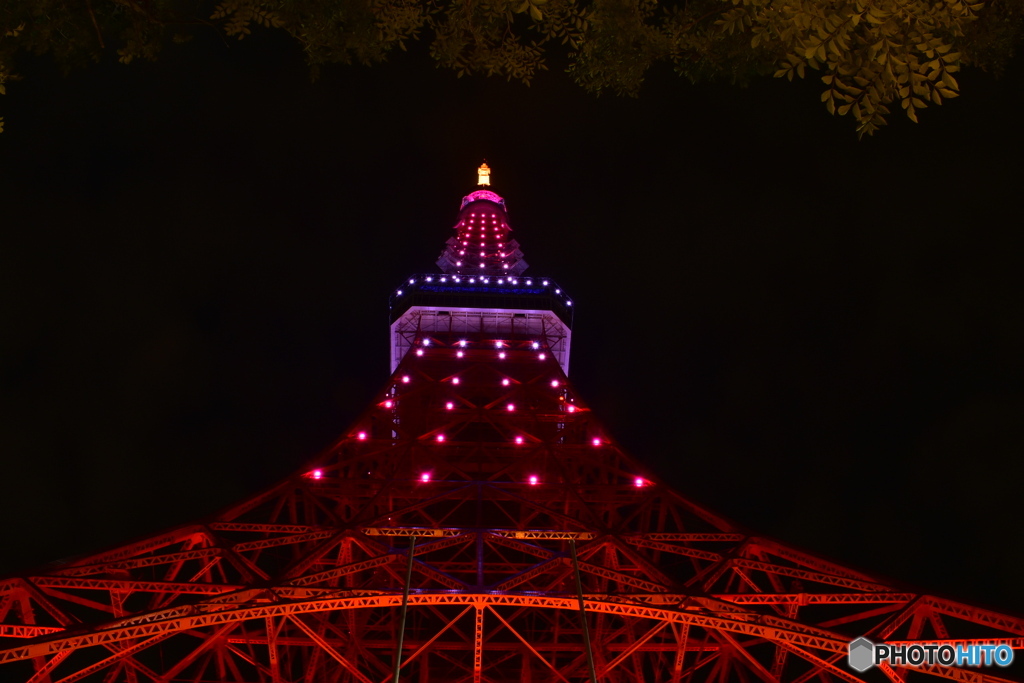 真下からの東京タワー
