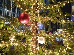 ライトアップされたクリスマスツリー