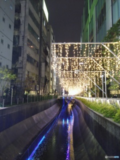 渋谷川とイルミネーション