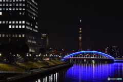 東京スカイツリーと永代橋のライトアップ