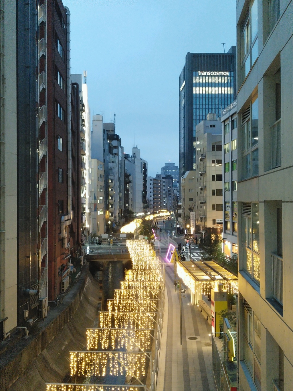 渋谷川とイルミネーション