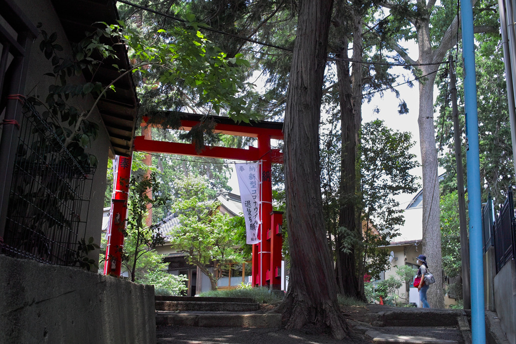 SDIM0725