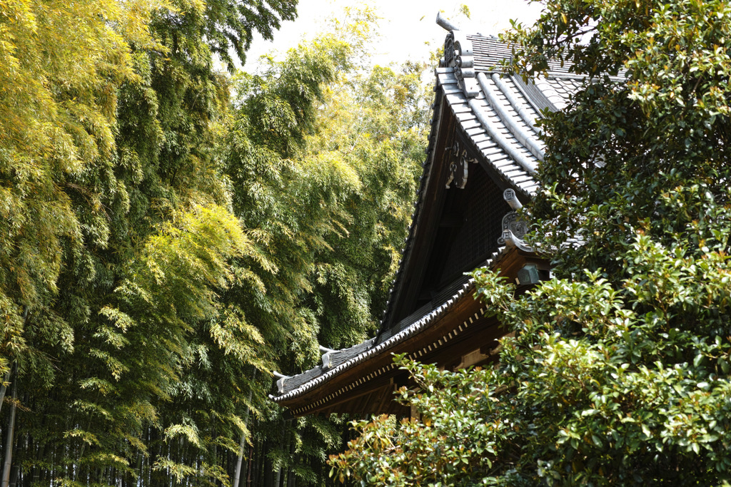 SDIM0507
