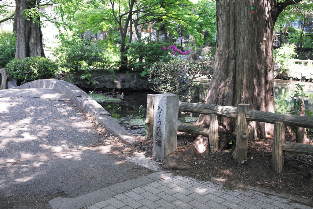 SDIM0460