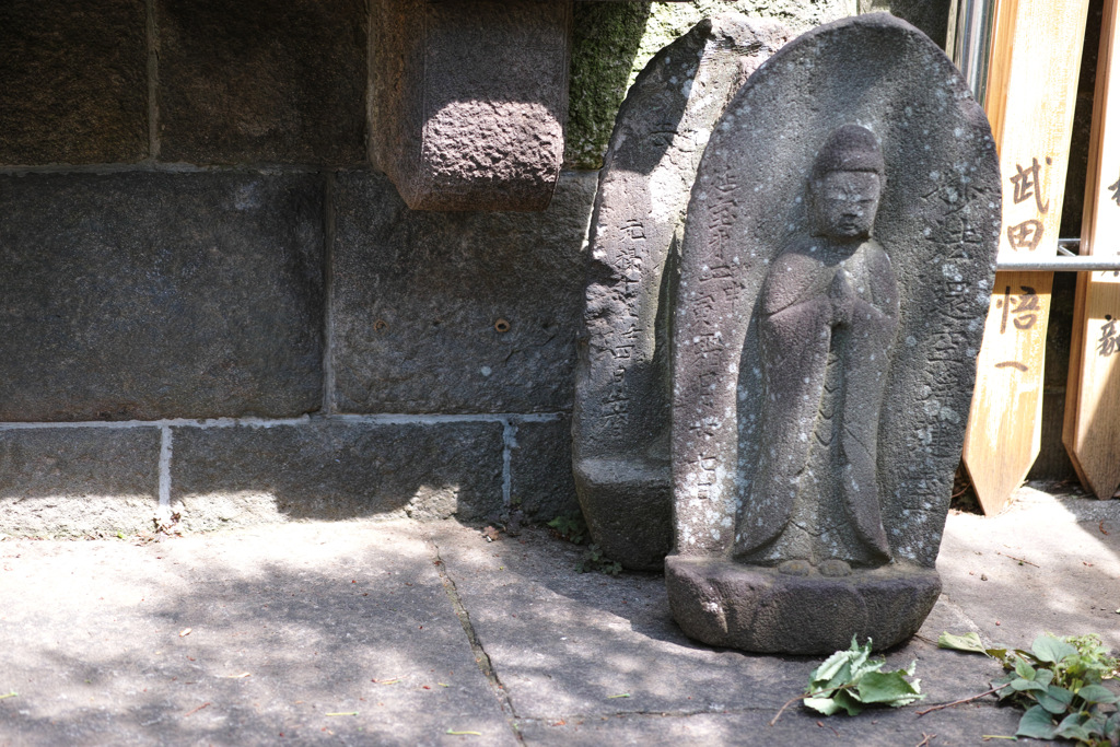SDIM0527
