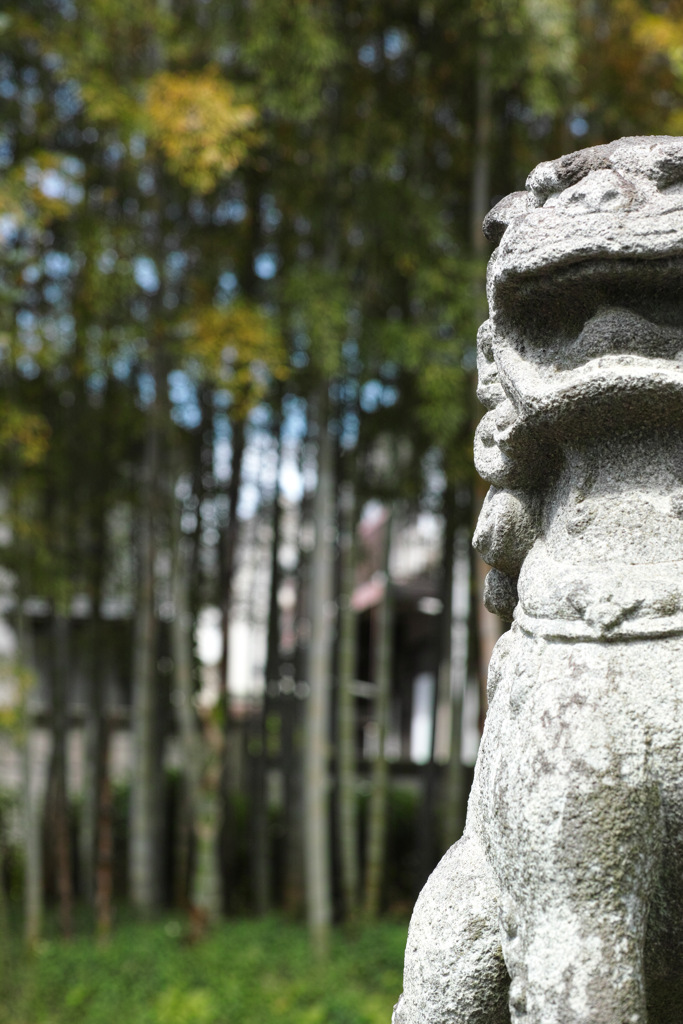SDIM0514