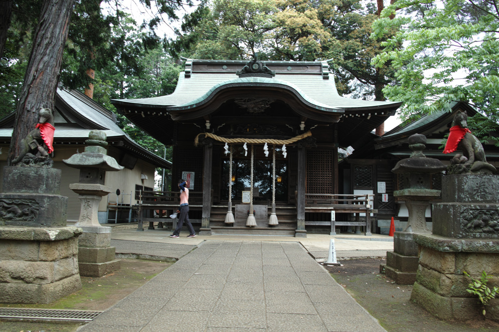 SDIM0871
