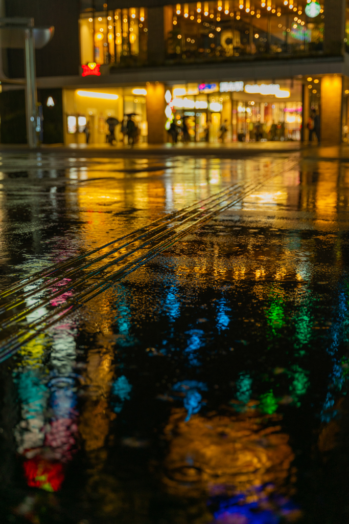 夜の雨は撮れ高高い