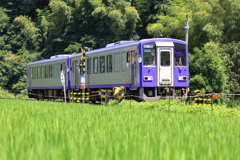 ＪＲ関西本線単線電化無し区間撮影