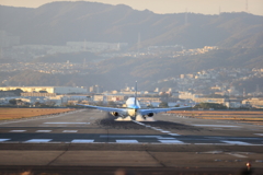 伊丹空港千里川土手