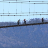 谷瀬の釣り橋