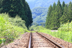 田舎電車道