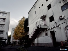 E0FBDFCB-71C4-4BB6-A03A-96E1ADF5E7B5