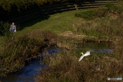 64A8D8ED-94F2-47D0-A8FE-D2975BB2E579