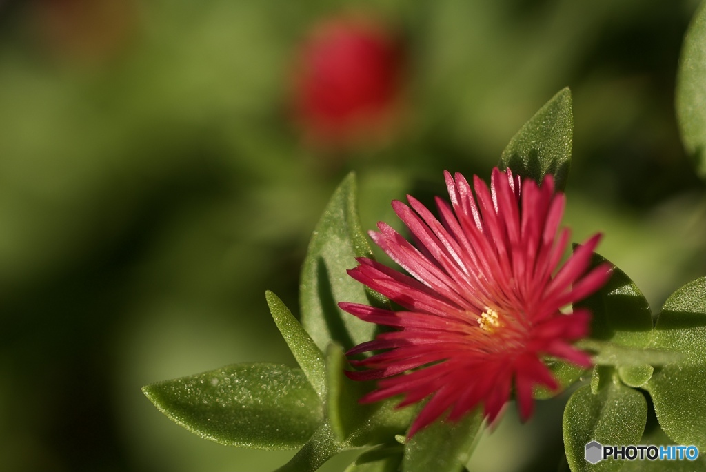 EEC32601-4EAE-4D45-A280-12766B5635CA