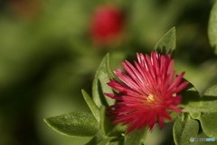 EEC32601-4EAE-4D45-A280-12766B5635CA