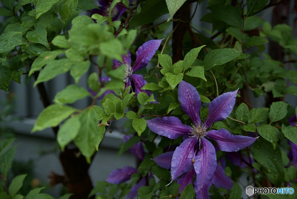 F6E43FCA-3A73-43B0-9174-BD65D5073D27