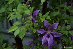 F6E43FCA-3A73-43B0-9174-BD65D5073D27