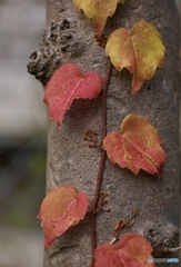 7F881DFF-1078-4213-A8DF-84C51015C1CC