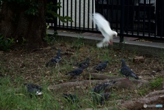 4AEA89D2-F94E-4A9A-8942-7E403562448D