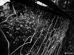 C41623B6-C5F7-4AC2-8DEA-1AD8B9E92B0B