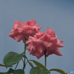 17F0BE9A-2226-4677-B66F-8D9481BFAE0F