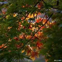 E0655428-6F8F-46F5-9D1B-8DABD5D95EE4