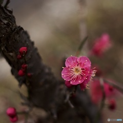 14966329-F843-438D-ADAA-B7536AF0611F