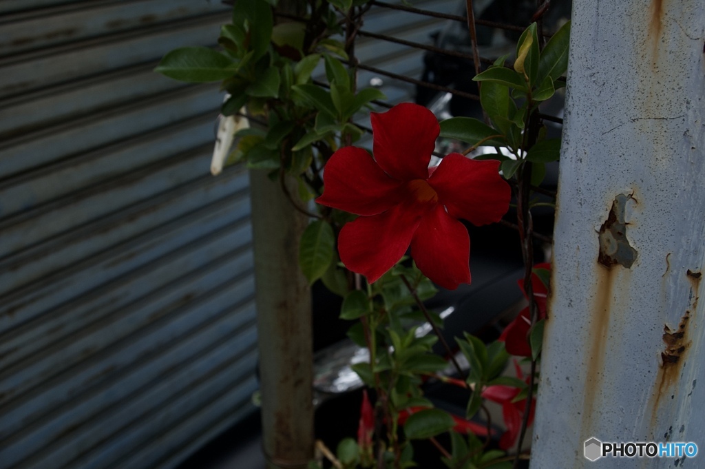 A68ADCD8-E373-49BF-B677-411C694D3CE6