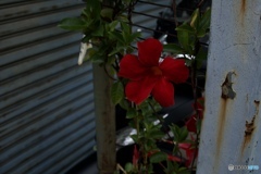 A68ADCD8-E373-49BF-B677-411C694D3CE6