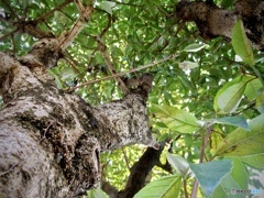 40FC4931-5DBF-40B6-953F-FB70955F0026