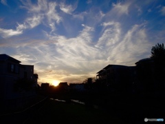 天の岡本太郎は元気そうで
