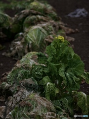 A497A605-C047-46D6-A18C-EE7C8A818F83